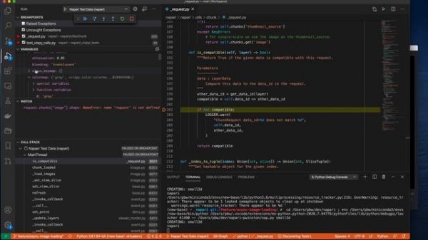 VS Code Python Debugger Overview