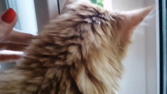 Есть, есть у нас отзывчивые люди!!!! смотреть онлайн