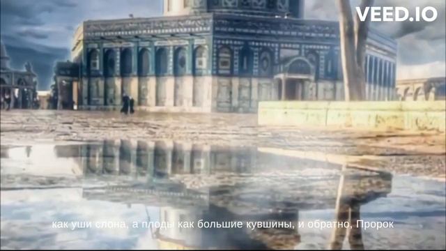 Палестина, мечеть Аль-Акса. смотреть онлайн