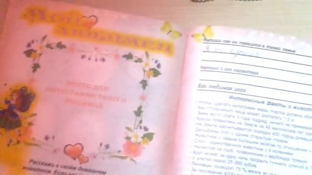 Обзор 1.блакнотиков 2.дневник для девочек