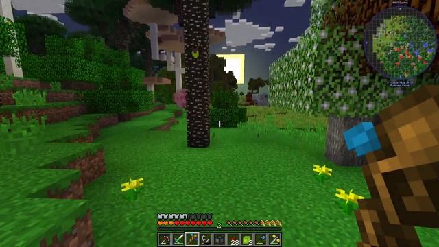 Entering The Twilight Forest... (Divine Journey 2)