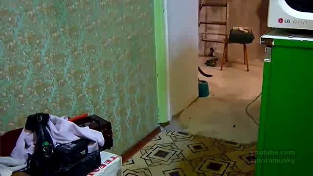 Хозяйка, тебя к телефону смотреть онлайн