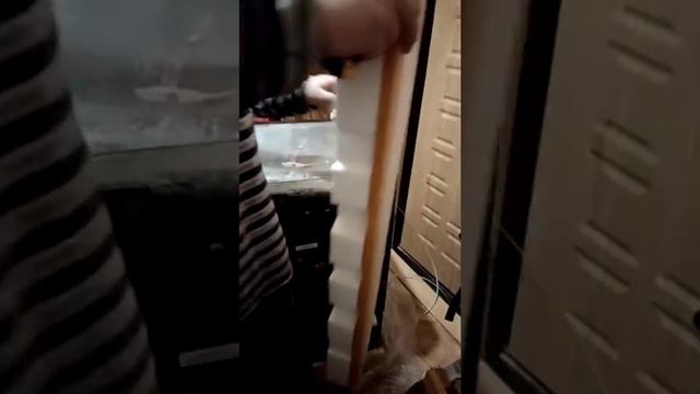 Магазин "ТехноКот" Курск. Доставка ужас.. смотреть онлайн