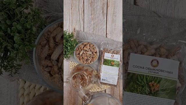 Сосна обыкновенная (шишки)/ Травы Горного Крыма смотреть онлайн