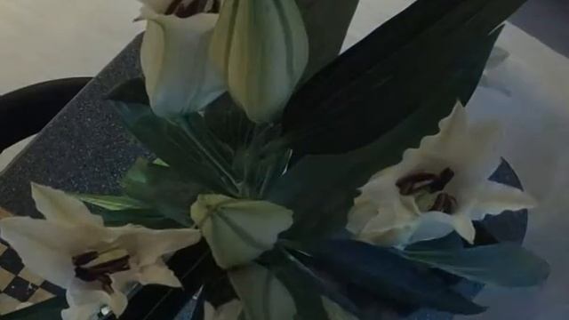 Time-Lapse #11 - Лилия смотреть онлайн