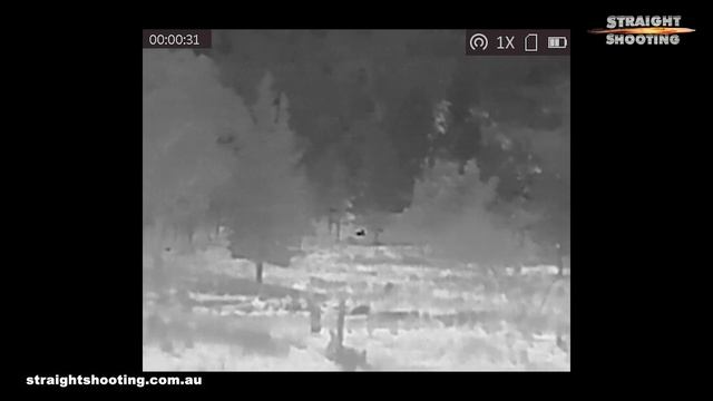 HIKMICRO Lynx Pro LE10 thermal imaging spotter review смотреть онлайн