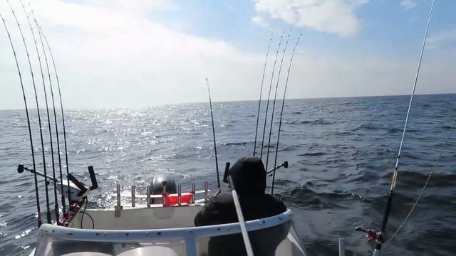 троллинг лосося в балтийском море смотреть онлайн