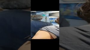 "Донбасские хроники. Герои и судьбы". Выставка Художника Татьяны Пономаренко-Левераш в Москве!!!