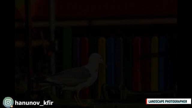 Природа маленькой Болгарии щедра и благодатна 4К смотреть онлайн