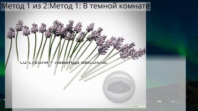 Секреты здоровья и красоты для беременных