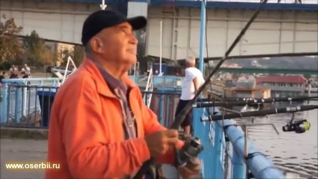 Путешествие в Сербию. Столица Сербии Белград. Прогулка по Белграду смотреть онлайн