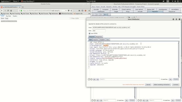 Manipulating the WebSocket handshake to exploit vulnerabilities смотреть онлайн