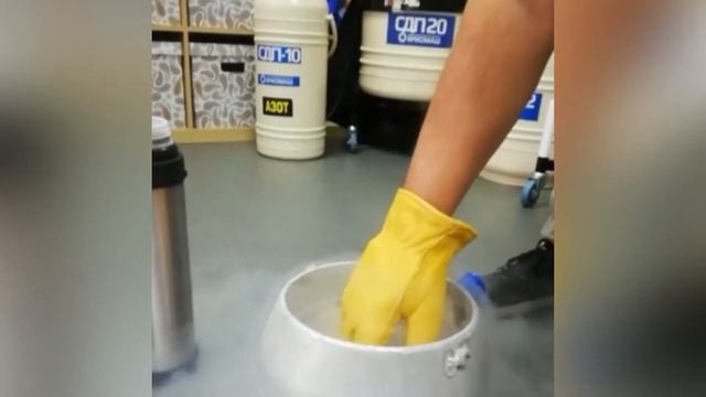 Комплект Криозащита для работы с жидким азотом смотреть онлайн