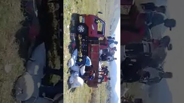 Yanssen collectiom(6) смотреть онлайн