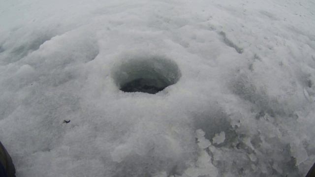 Зимняя рыбалка, река Ока, карьер Ланьшино 23.02.2017г. смотреть онлайн