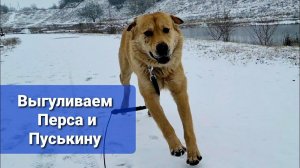 Накипело! Будем принимать меры