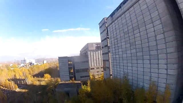 Финики, бананы, морковь смотреть онлайн