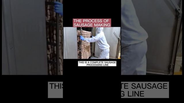 The Process Of Sausage Making смотреть онлайн
