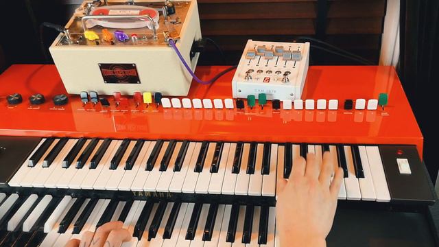 Yamaha YC-25D With Tape Echo And Reverb