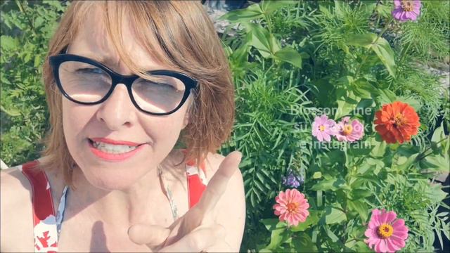 CHI SONO : Blossom zine / Dana Frigerio смотреть онлайн