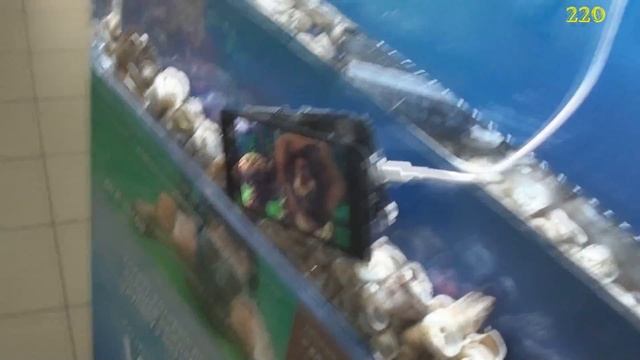 Защита мобильного телефона от воды и влаги. Нанотехнология. Обработка газом смотреть онлайн