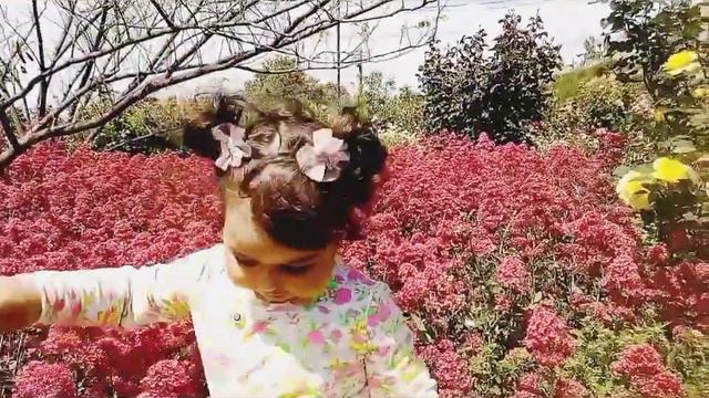 Море цветов🥰🌺🌺🌺 смотреть онлайн