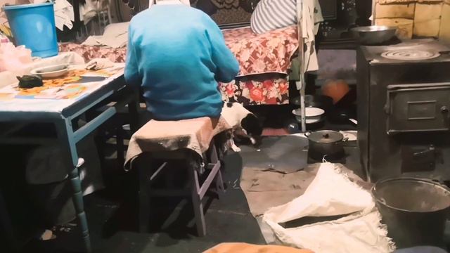 ⚡БАБУШКА КОРМИТ СОБАКУ ПОСРЕДИ ХАТЫ / ПЕС МАЛЫШ ЕСТ ПЮРЕШКУ / ЖИЗНЬ В СЕЛЕ смотреть онлайн