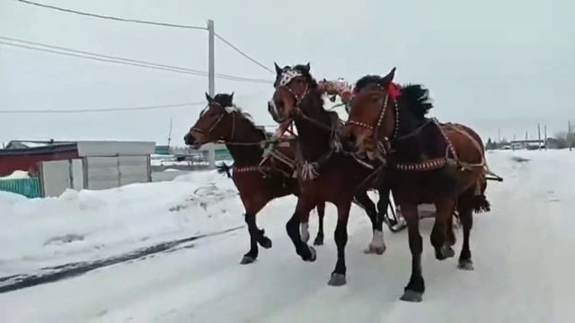 Заря Свободы 20.03.2021 Катали свадьбу - 50 лет смотреть онлайн