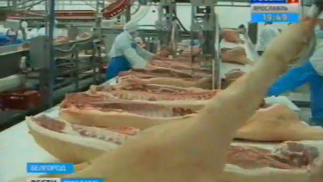 Рабочий визит в Белгородскую область смотреть онлайн