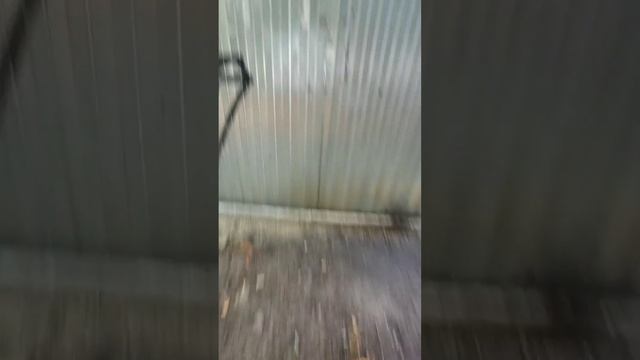 стикер бомбинг#стикербомбинг #аниме #наруто смотреть онлайн