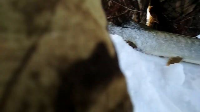 Рыбалка 01.01.2020.Рыбалка в 2020.Рыбалка в Новый год!!! смотреть онлайн