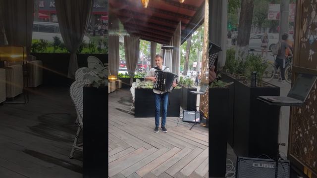 Tarkan - Dudu (accordion cover) смотреть онлайн