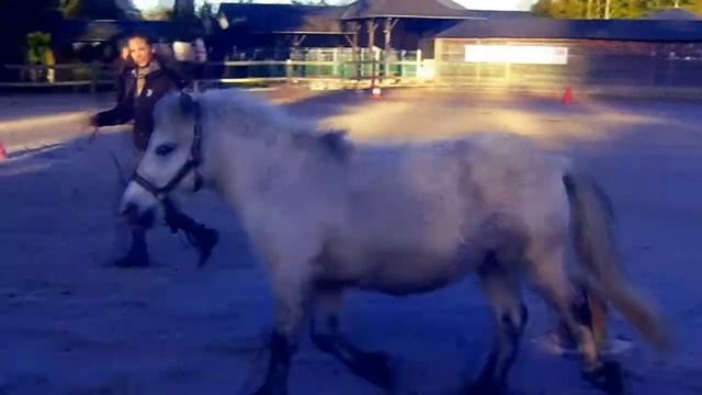 Tango/Java - You saved my life смотреть онлайн