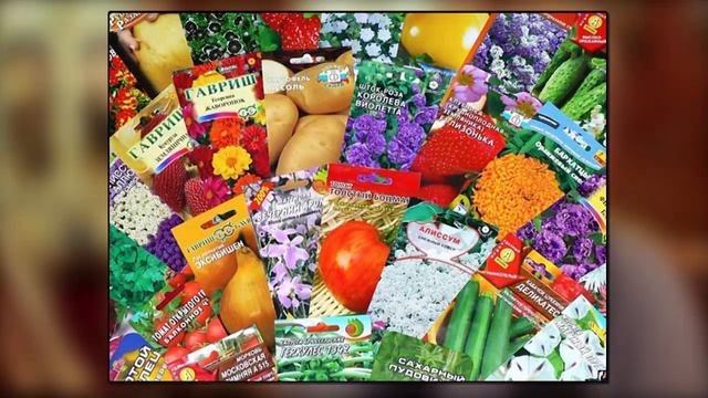 Как сделать сферу жизни? -"Экосистема в банке"- смотреть онлайн