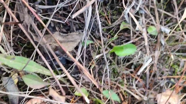 11 октября 2021 г. смотреть онлайн