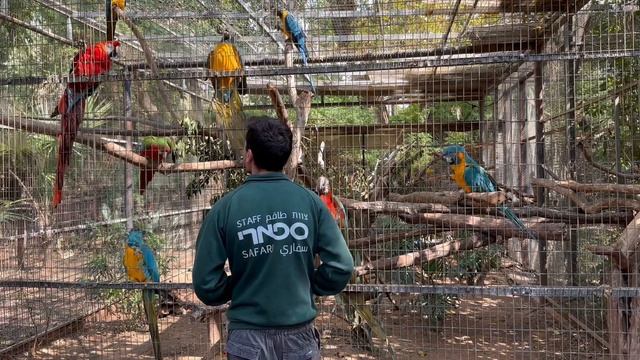 Зоопарк, Рамат Ган смотреть онлайн