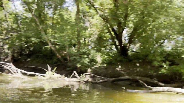 Мне до сих пор снятся красочные сны! смотреть онлайн