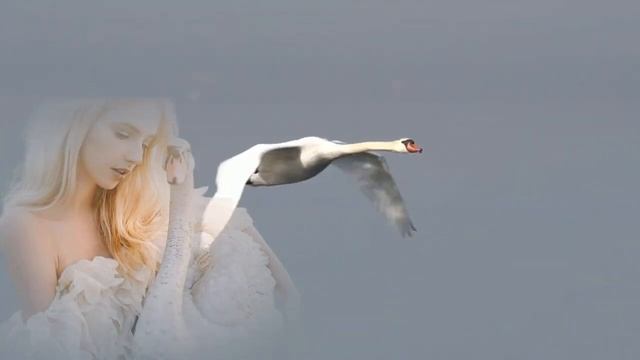 Белая Лебедь. исп: Хасан Хубиев.