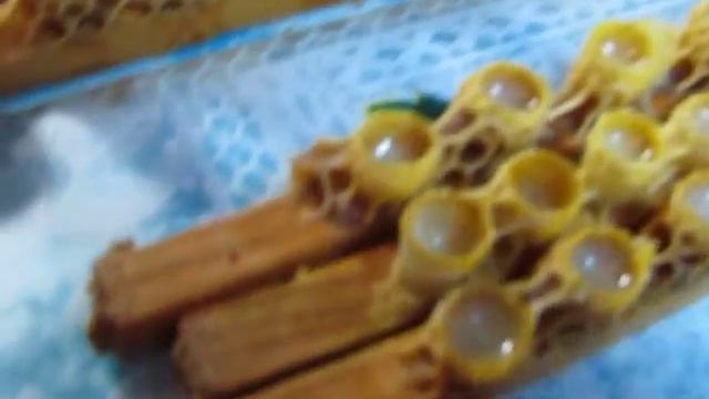 Сбор маточного молочка. смотреть онлайн