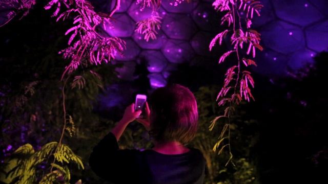Magical Rainforest at the Eden Project this Christmas смотреть онлайн