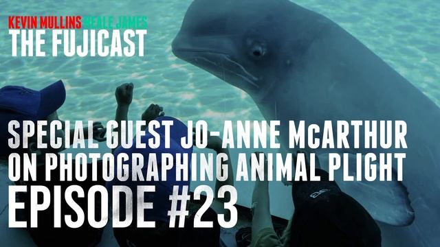 Jo-Anne McArthur on photographing animal plight - the photography podcast смотреть онлайн