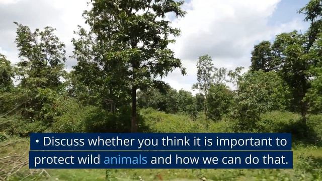 𝐖𝐈𝐋𝐃 𝐀𝐍𝐈𝐌𝐀𝐋𝐒 | 𝐈𝐄𝐋𝐓𝐒 𝐒𝐩𝐞𝐚𝐤𝐢𝐧𝐠 𝐚𝐧𝐬𝐰𝐞𝐫𝐬 & 𝐯𝐨𝐜𝐚𝐛𝐮𝐥𝐚𝐫𝐲 смотреть онлайн