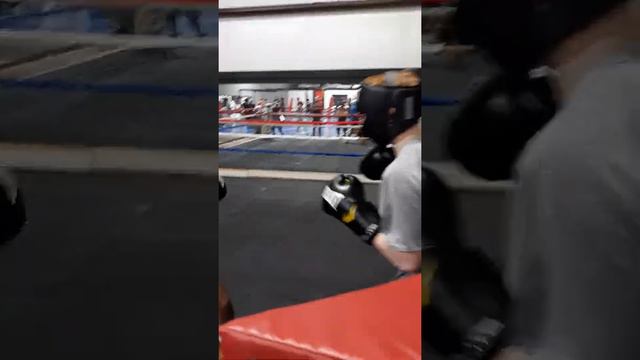 Canelo Alvarez jr. vs Eric Morales jr🥊 смотреть онлайн