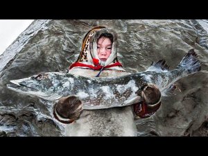 Почему в России рыба дороже мяса | Факты