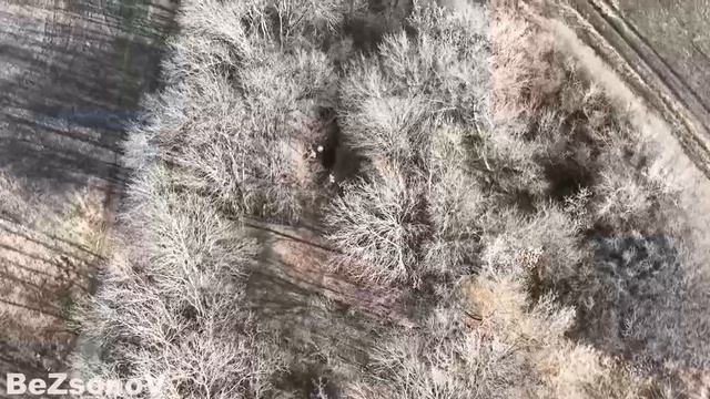 Четверо лиц в форме ВСУ ведут троих людей и расстреливают их Затем стреляют в БПЛА. смотреть онлайн