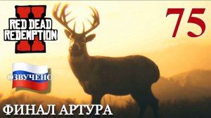 Red Dead Redemption 2 ПРОХОЖДЕНИЕ С РУССКОЙ ОЗВУЧКОЙ #75 Финал Артура