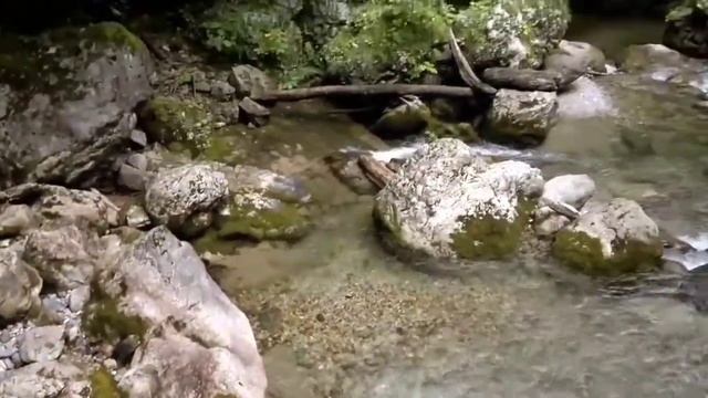 Абхазия. Старая Гагра. Река Жоэквара_Abkhazia. Old Gagra. Zhoekvara river. смотреть онлайн