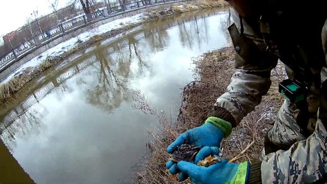 Подняли море Денег в парке на Поисковый Магнит. смотреть онлайн