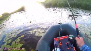 лягушка незацепляйка часть 1