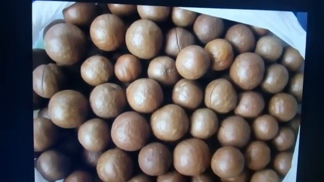 The best forex exchange and detailed instructions to her 2 смотреть онлайн